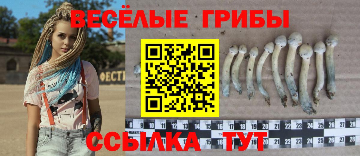 Магадан  Псилоцибиновые грибы MAGIC MUSHROOMS  Вход с VPN  Галлюциногенные грибы Psilocybe 